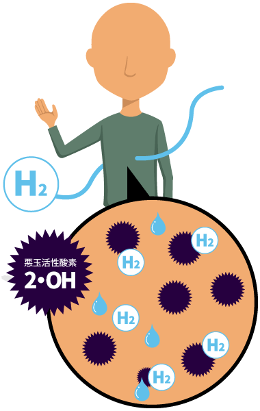 水素が体内の悪玉活性酸素と結びつき、水に変化する様子